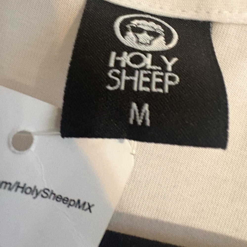 Holy Sheep NWT v-neck t-shirt print of the Pyramid archaeological Mexico. M - Picture 3 of 4